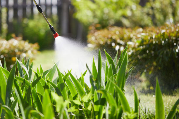 24/7 Emergency Termite Control experts in Tangerine, FL