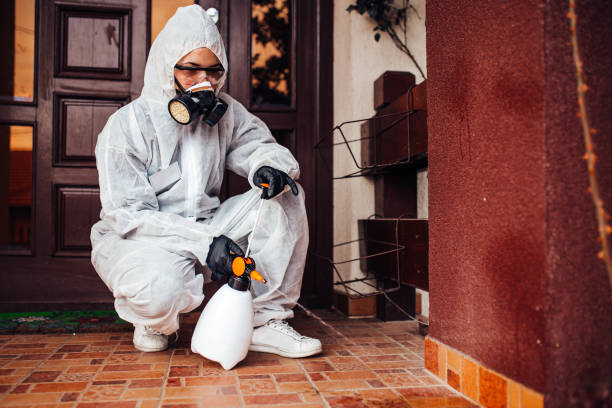 Reliable Termite Control contractor in Tangerine, FL by Nex Pest Control