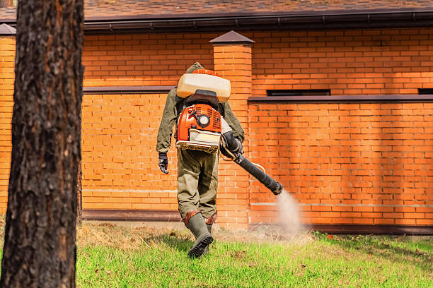 Top rated local Termite Control specialists in Tangerine, FL